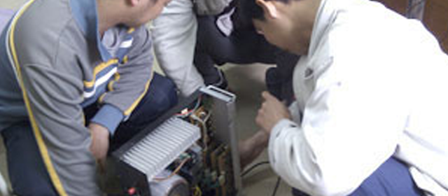 xin.png